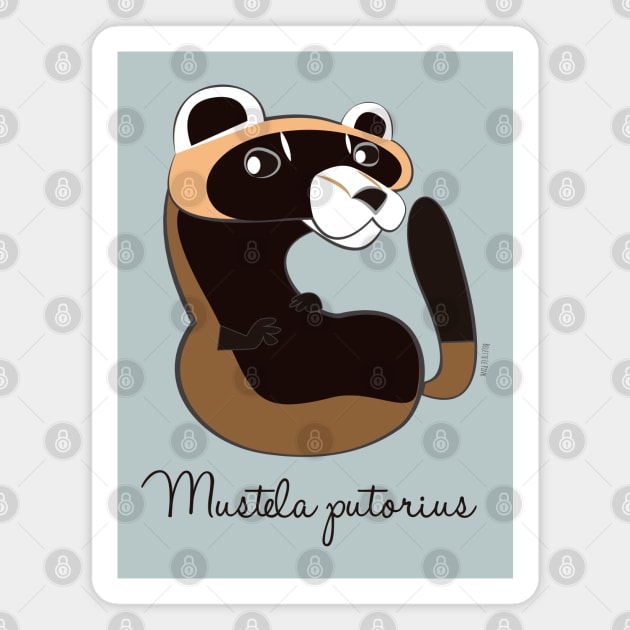 European polecat Magnet by belettelepink